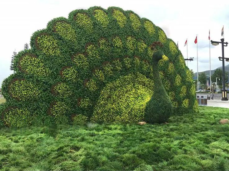 五色草工程