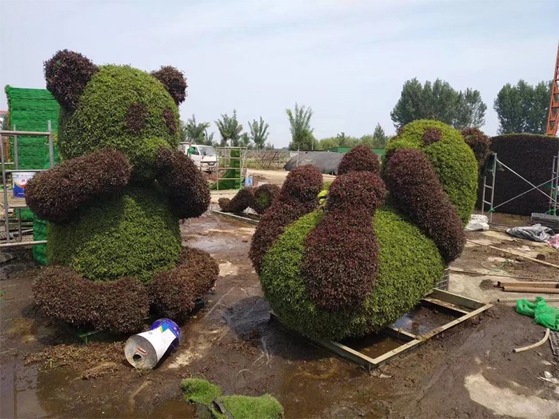 五色草工程