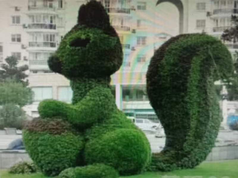 五色草工程