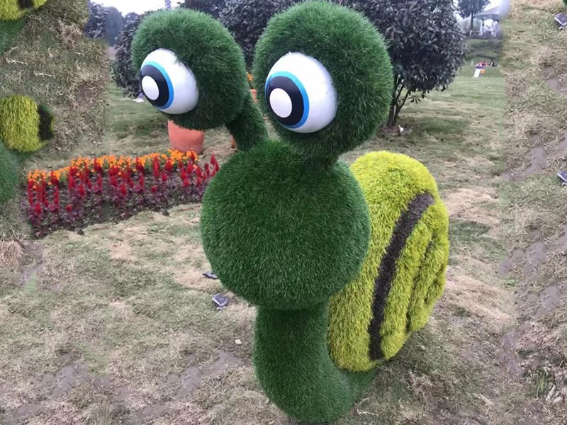 五色草
