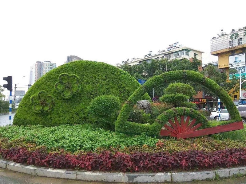 五色草