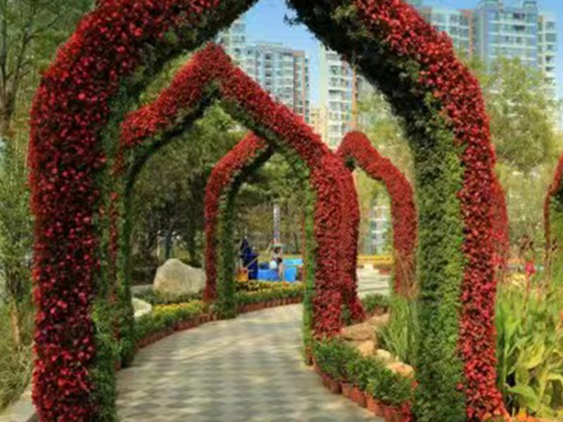 五色草